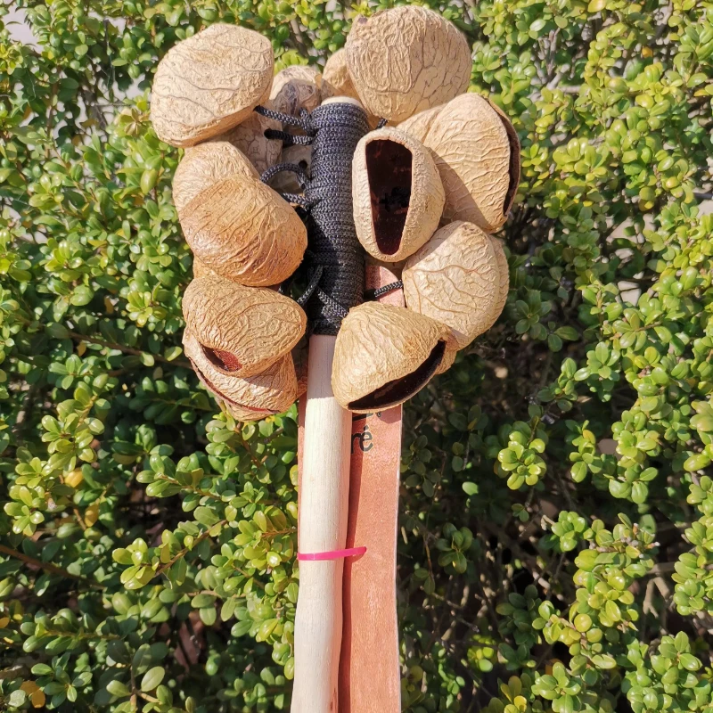 Fruit Shell Hand Bell Yoga Meditation Hand Bells with Handle Sound Healing Wind Chimes Natural Bell Accompaniment Instrument