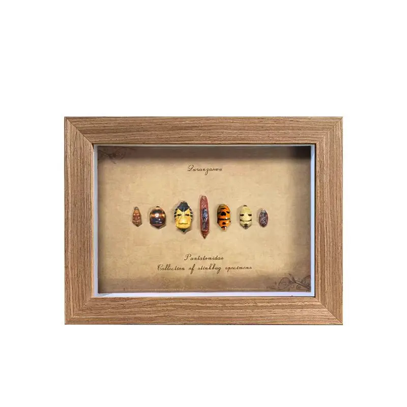 Insect animal specimen finished product personalized handmade retro decorative painting three-dimensional ornament