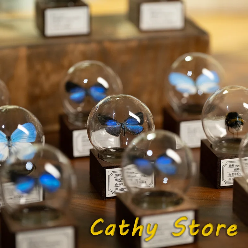 Mini bola de cristal de muestra de serie de mariposas de nogal clásico Original, colección de decoración de escritorio hecha a mano, regalo creativo para Festival