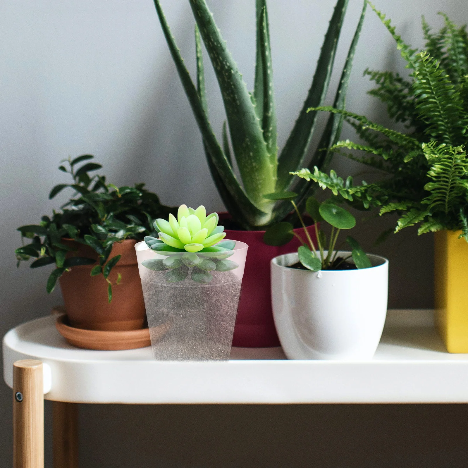 

10pcs Plastic Plant Pots 6Inch Nursery Pots For Flower Succulent Bonsai Indoor Outdoor Gardening Reusable Lightweight Flowerpots