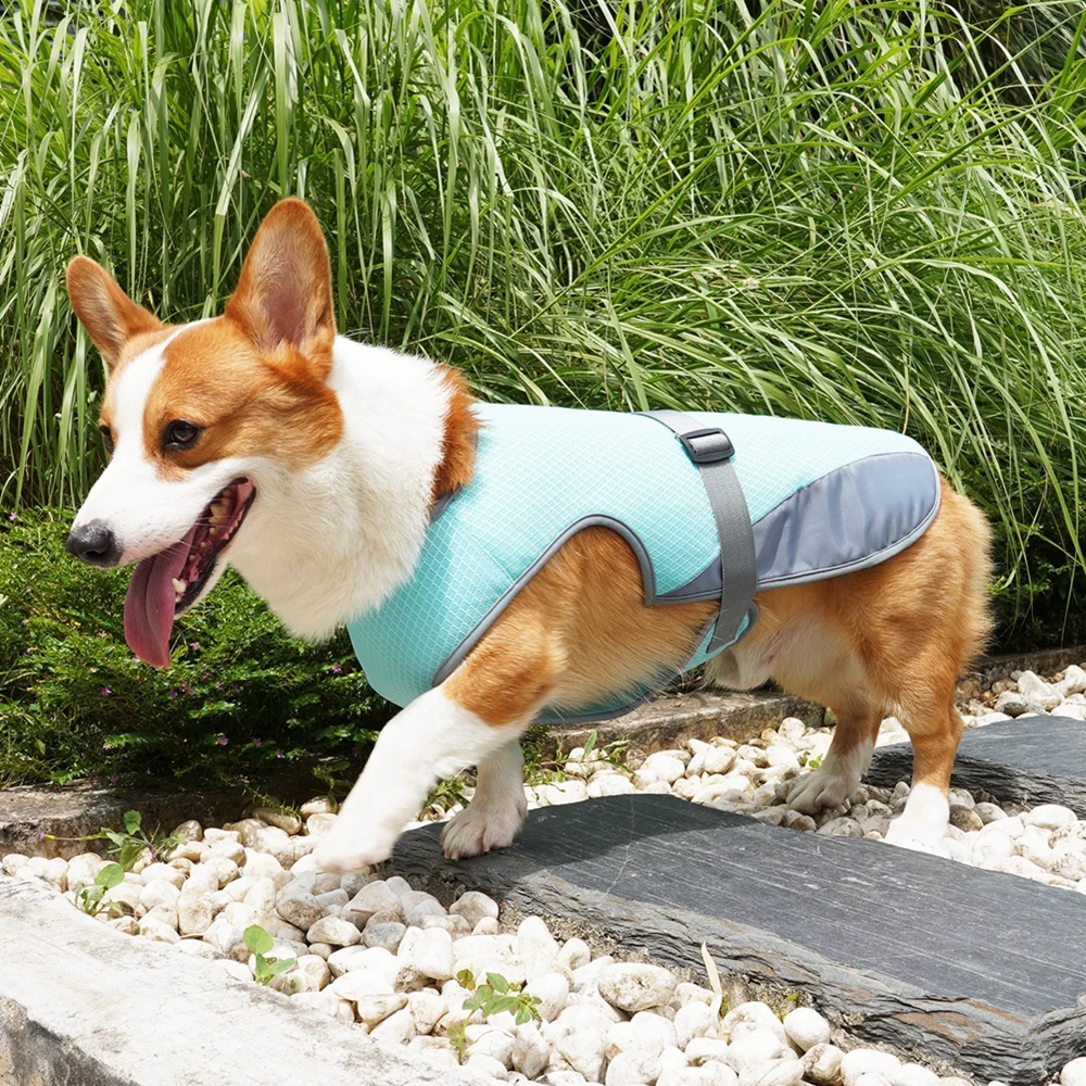 Doudoune rafraîchissante en maille respirante pour chien, manteau rafraîchissant réglable, vêtements d'extérieur pour petits et grands chiens, vestes pour animaux de compagnie, été