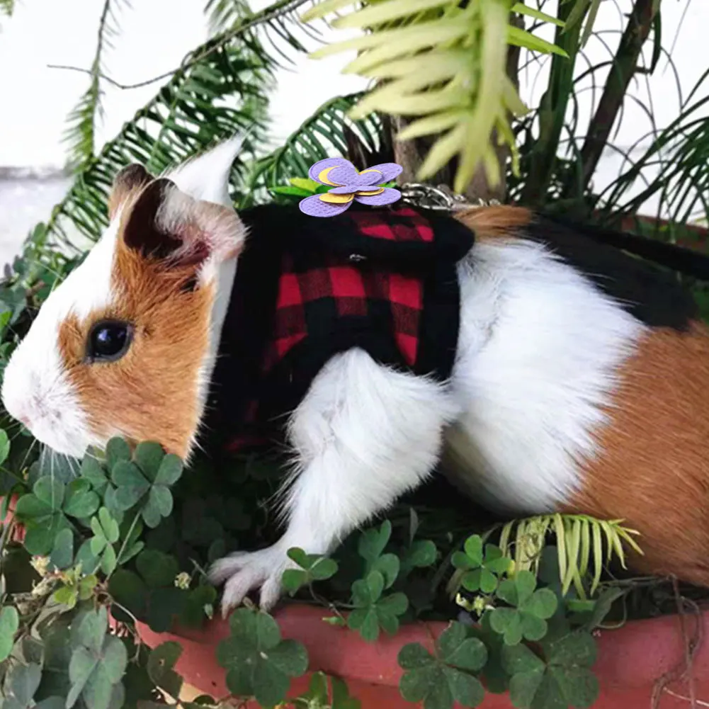 Small Pet Denim Harness 5