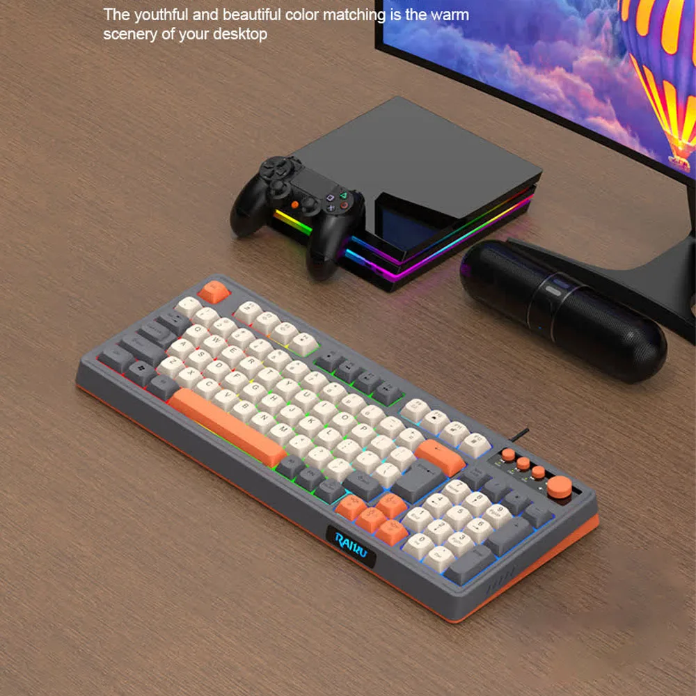 Backlight RAIKU K98 Keyboard RGB Lighting 98 Key Layout Gaming Mechanical Keyboard Rainbow Color Luminous Office Keyboard Office