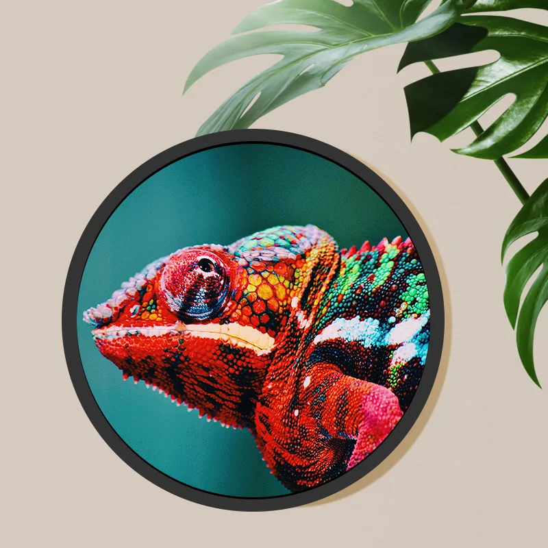 

wall mount 23.6 Inch Custom Round Lcd screen touch Advertising Media Display Circular TV Screen Billboard Android Display