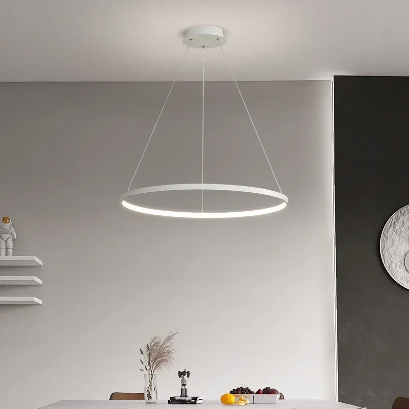 Winfordo Modern Ring Hanging Chandeleir Light Fixture  Minimalist LED Pendant Lamp for Living Dining Room Kitchen Home Decor