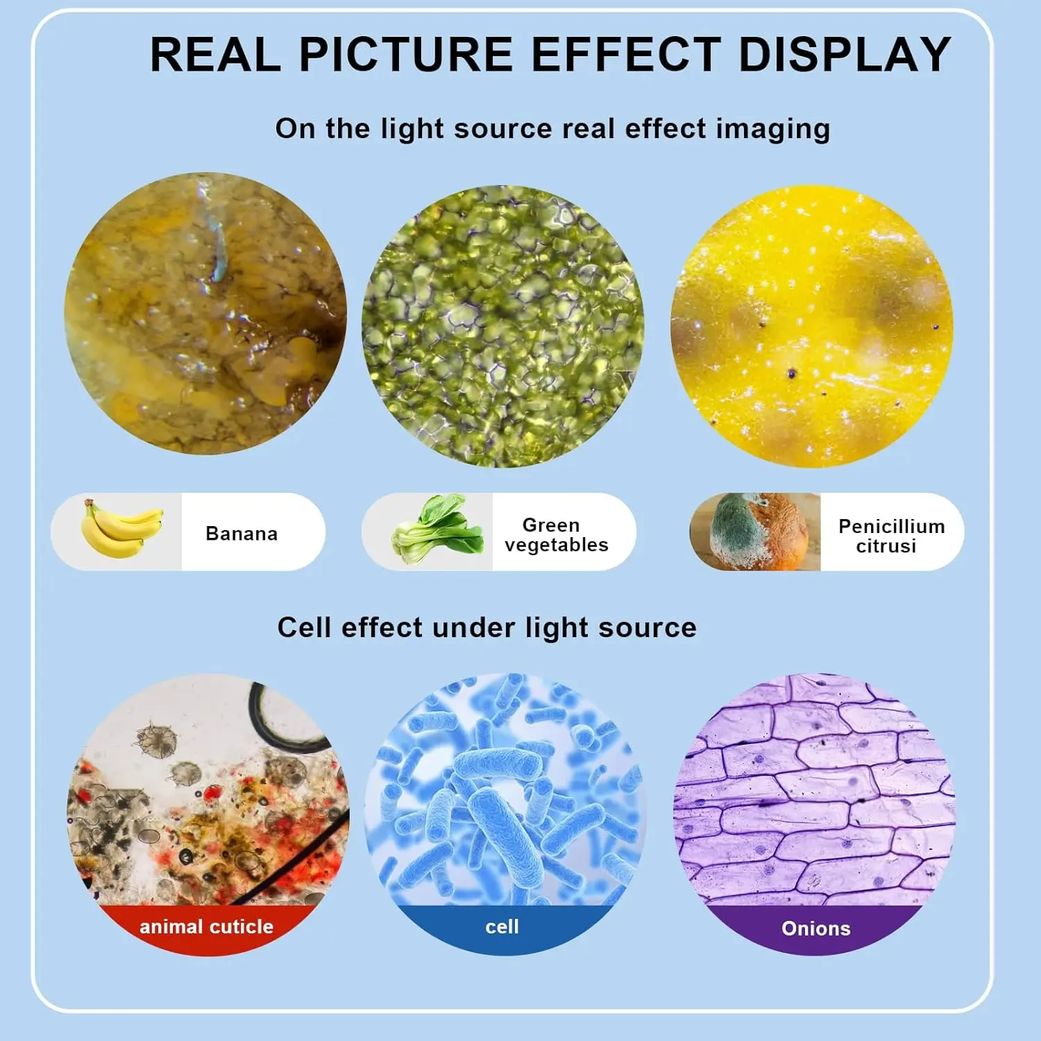 単眼光学顕微鏡 64X-2400X 顕微鏡学校科学実験生物学顕微鏡子供用デジタル顕微鏡