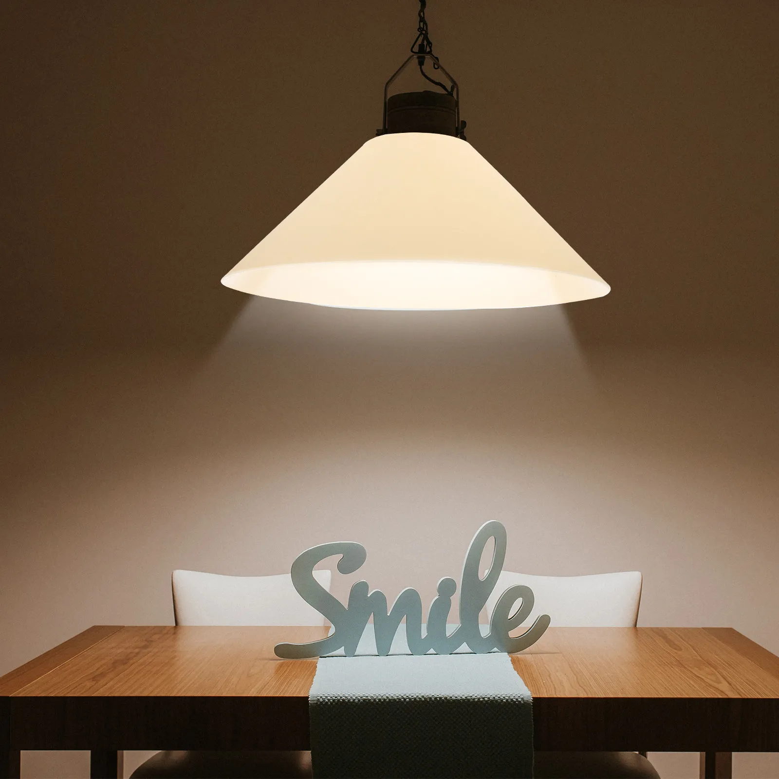 Lampshade Dustproof Plastic Lamp Cover 2 Pack Decorative Light Shade for Living Room Bedroom Home Lighting