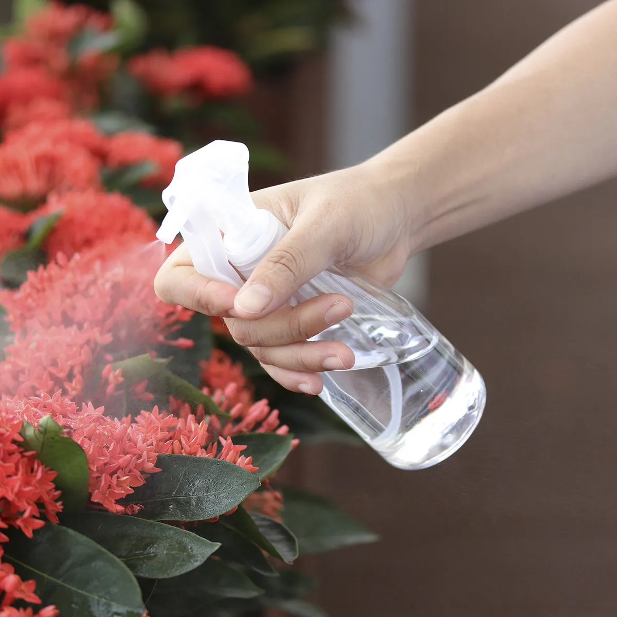 3Pcs Bottle 200Ml Safe Odorless Leak-Proof Plastic Sprayer for Succulents Plants Ironing Hair Moisturizing Pest