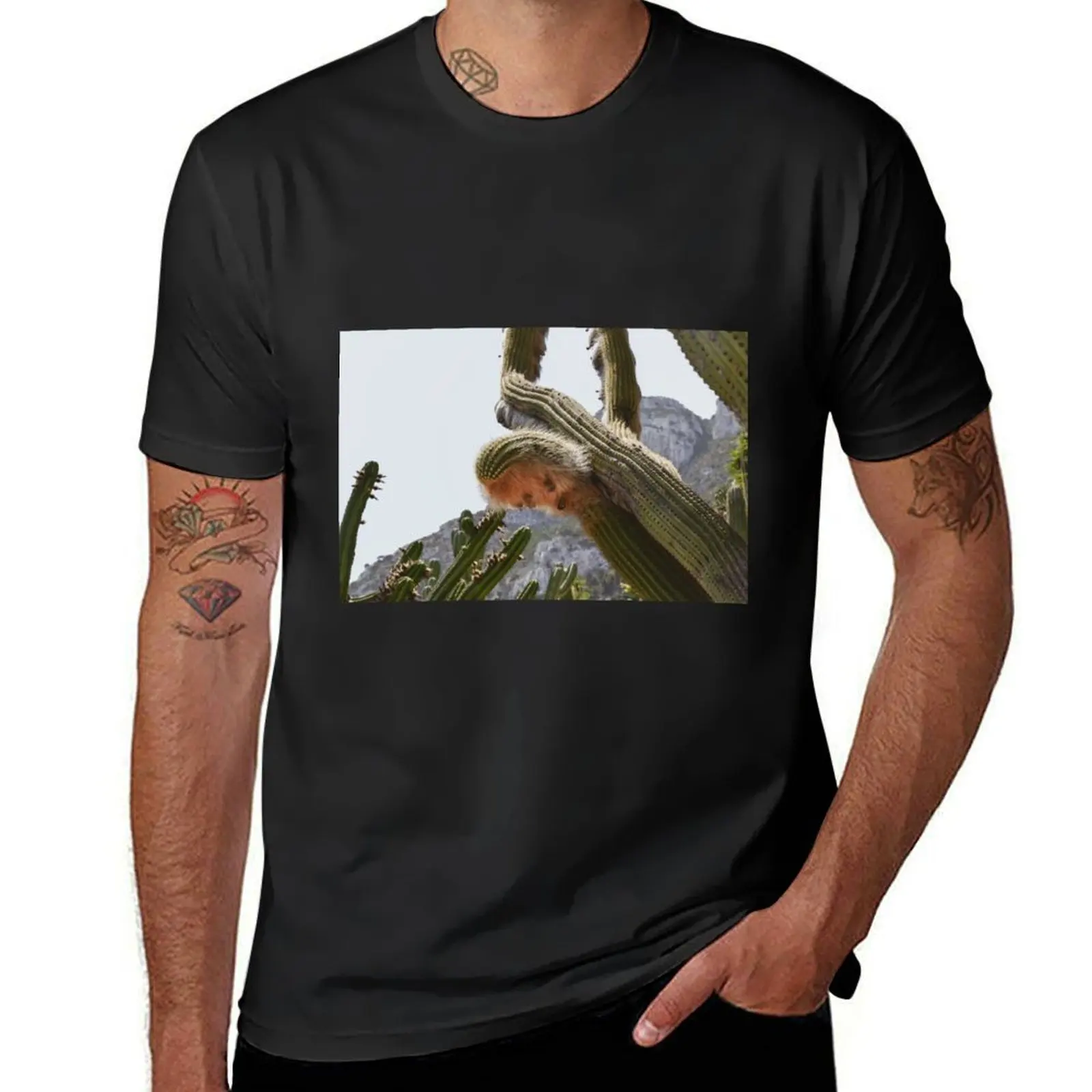 

Cactus Nature and Landscape Photography T-shirt for a boy blacks oversizeds T-shirts for men cotton