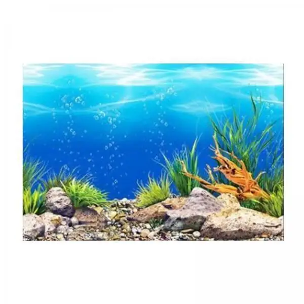 2x Aquarium Landscape Poster 3D Effect Underwater Image Decor DoubleSided Backdrop PVC Painting Sticker Fish Tank Suitable