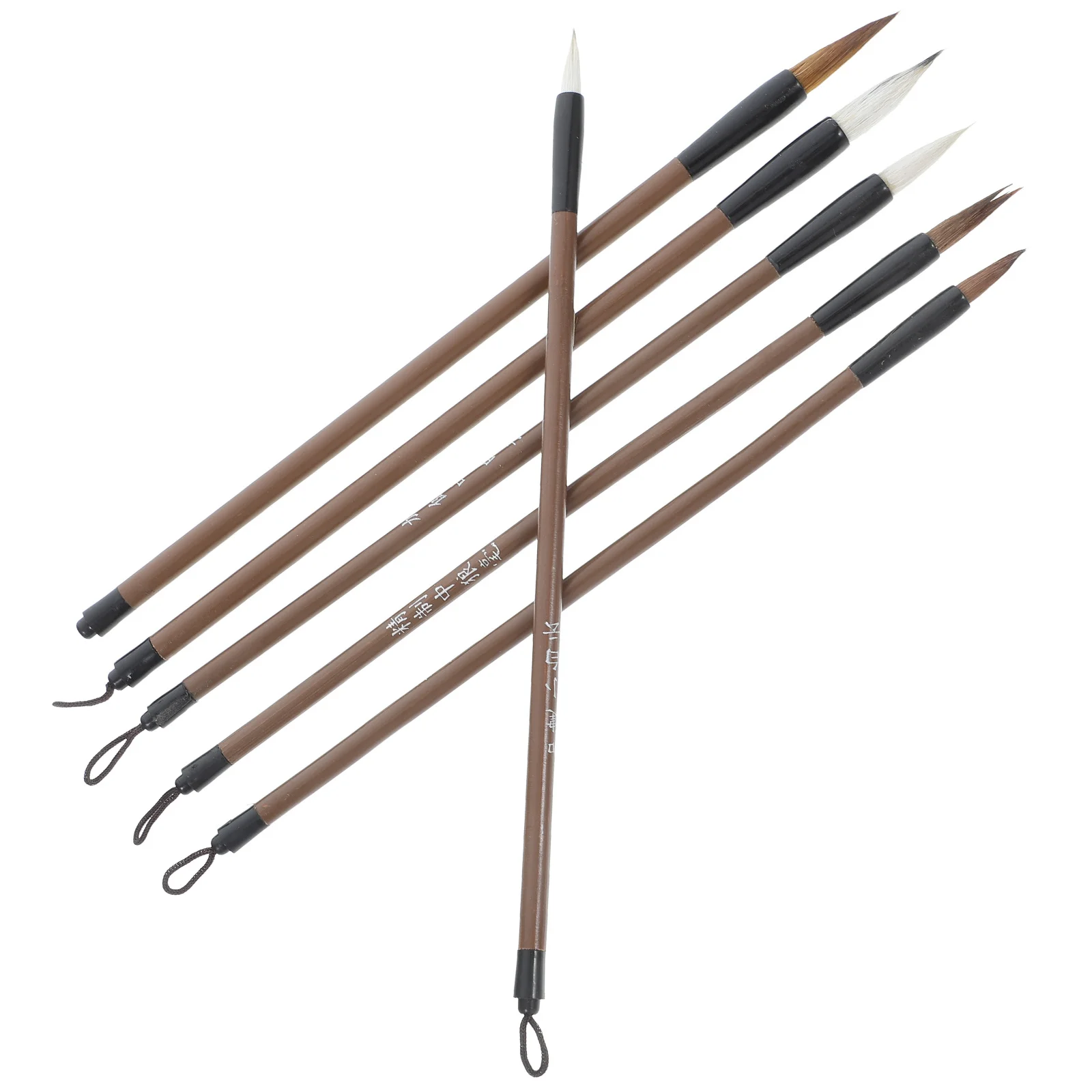 

6Pcs Chinese Calligraphy Brush Pens Practical Painting Ink Brush for Writing Drawing Student Calligraphy Stationery