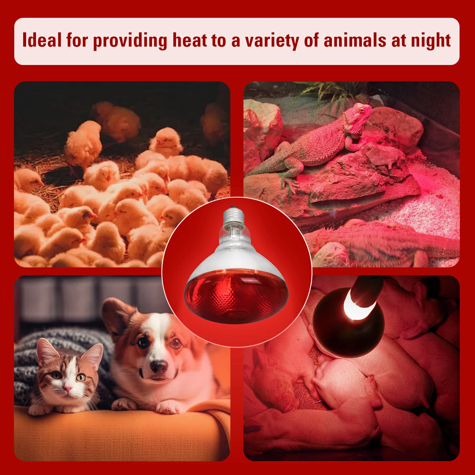 Lâmpada de calor infravermelha dia noite 100w/150w/200w/250w/275w lâmpada de calor vermelha para chocadeira galinheiro pintinhos cobra anfíbio pet réptil
