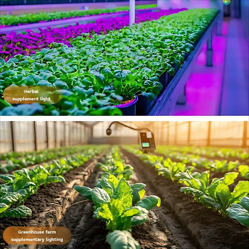 Full Spectrum Quantum Board Grow Light LED Panel AC100-277V 0-10V Dimmable Dual UV Red Switch for Indoor Hydroponic Cultivation