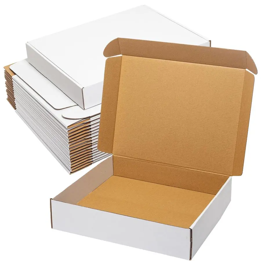 

Shipping Boxes 13x11x3 20 Pack Corrugated Cardboard Box Mailers for Small Business, Literature Mailer Packaging Supplies