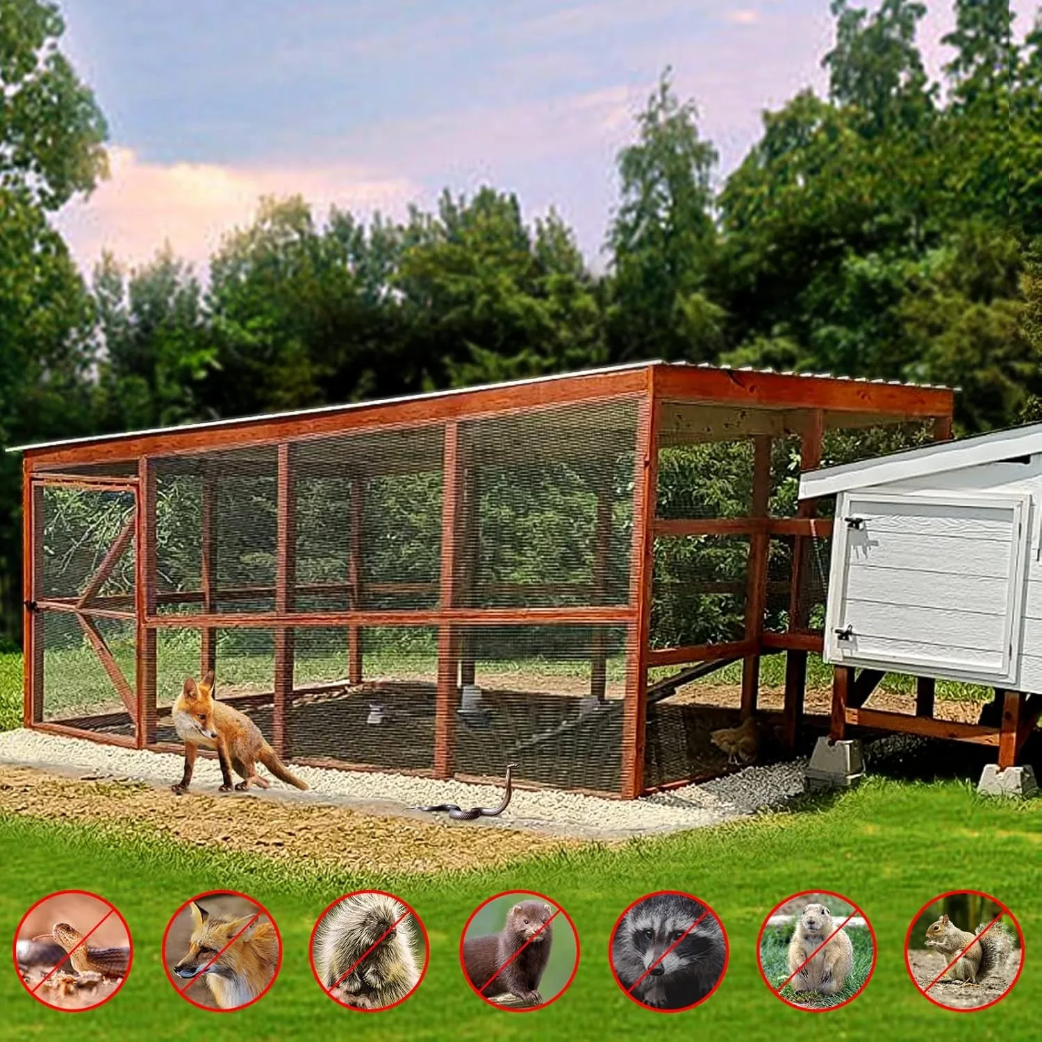 الأجهزة القماش 14 بوصة 48 × 100 قدم 23 مقياس، سياج سلك حظيرة الدجاج، سلك Gaanized انخفض ساخن Mh، الأجهزة Cl #4