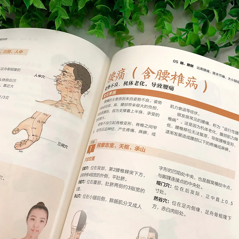 Traditional Chinese Medicine Therapy Methods and Family Health Books