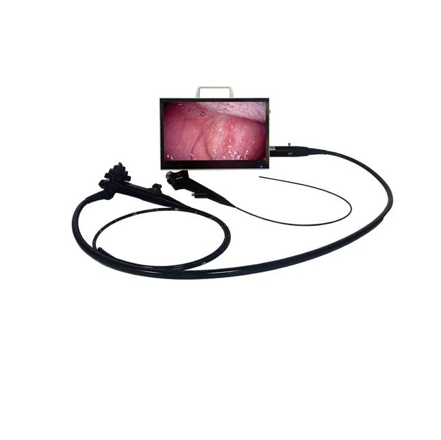 

1500mm Bronchoscopy endoscope portable brochoscope for horse