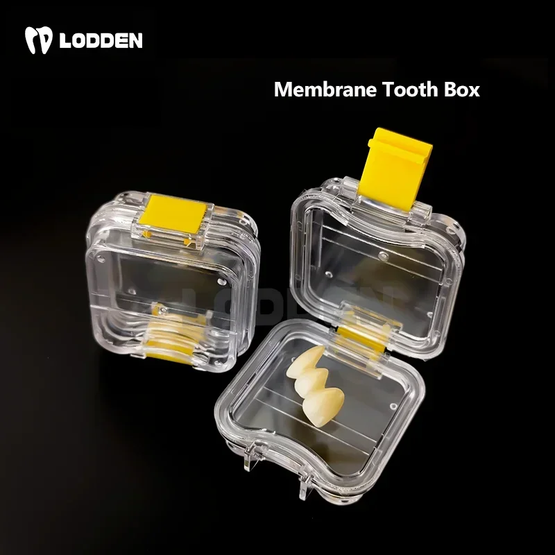 LODDEN-caja de dientes de leche de laboratorio Dental con película, 10 piezas, plástico transparente, alta calidad