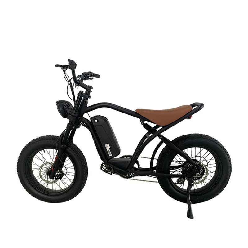 FEIVOS W2 Dual shock absorber bike 500W 48V Off-road with fat tires 40KM/H Aluminium alloy E bike