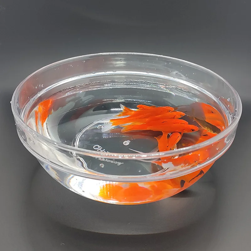 

Appearing Fish Tank Magic Tricks Magician Stage Close Up Illusions Gimmicks Mentalism Props Fish Appear In Plastic Bowl Magia