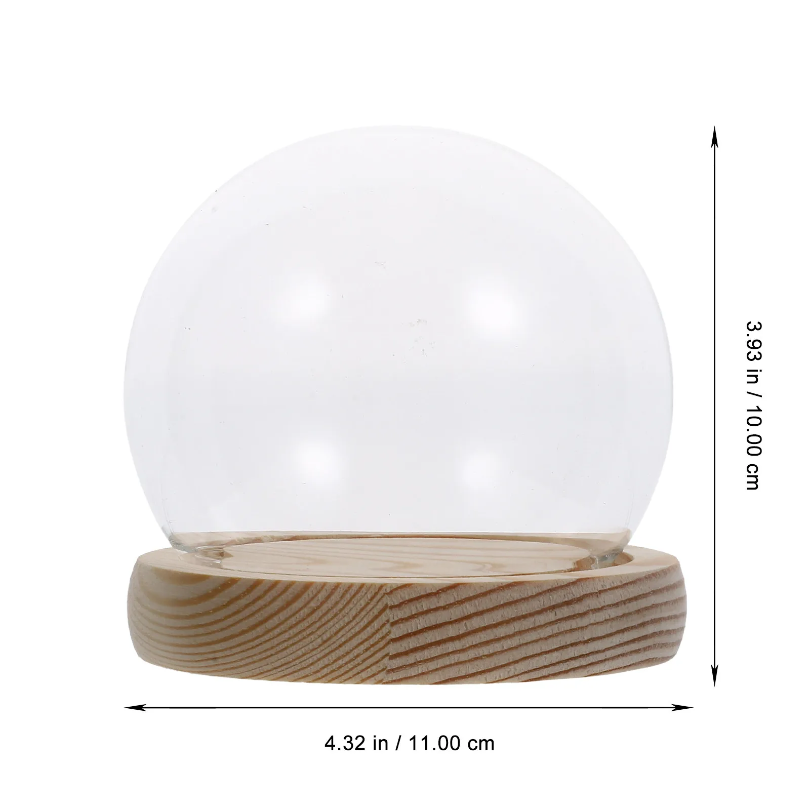 Luminous Eternal Flower Glass Dome Display Case – Preserved Glow-in-the-Dark Floral Decor for Home, Desk, Room