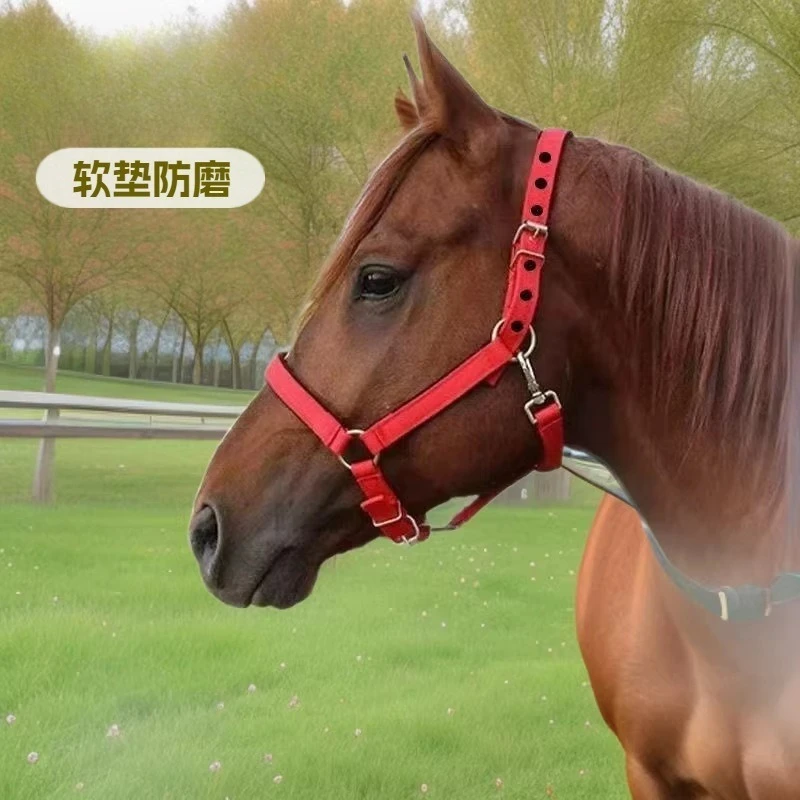 

Durable Horse Halter, Premium Material Comfortable Fit Equine Headstall