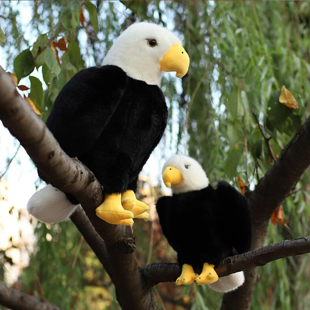 Cartoon Eagle Pelikaan Gier Ooievaar Vogel Gevulde Kinderen Knuffel