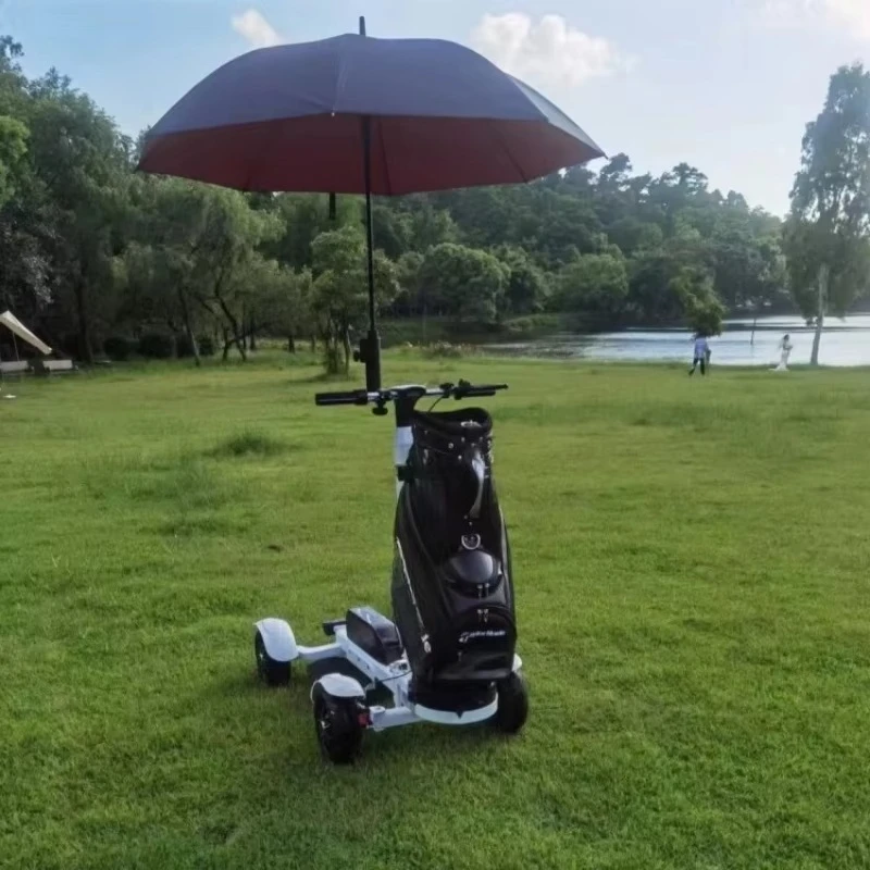 

Прямая поставка, 2400 Вт, 60 В, электрическая тележка для гольфа, скейтборд, 10,5-дюймовая шина, четыре колеса, скутер для гольфа, литиевая батарея 20 Ач, нагрузка 150 кг