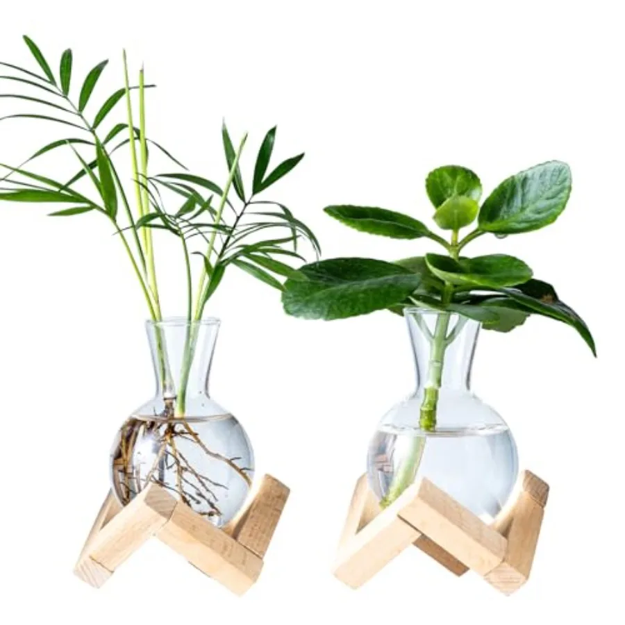 Propagation Stations, Propagation vases with Wooden Stand, Small Tabletop Glass Bulb Vases for Hydroponics Plant Propagation St