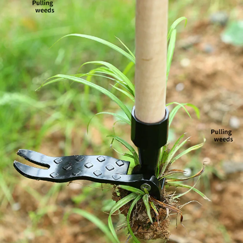 Imagem -03 - Stand up Aluminum Alloy Weed Extrator Garra Manual Weeding Cabeça Substituição Jardim Escavação Grama pá Ferramenta Root Remover Acessório