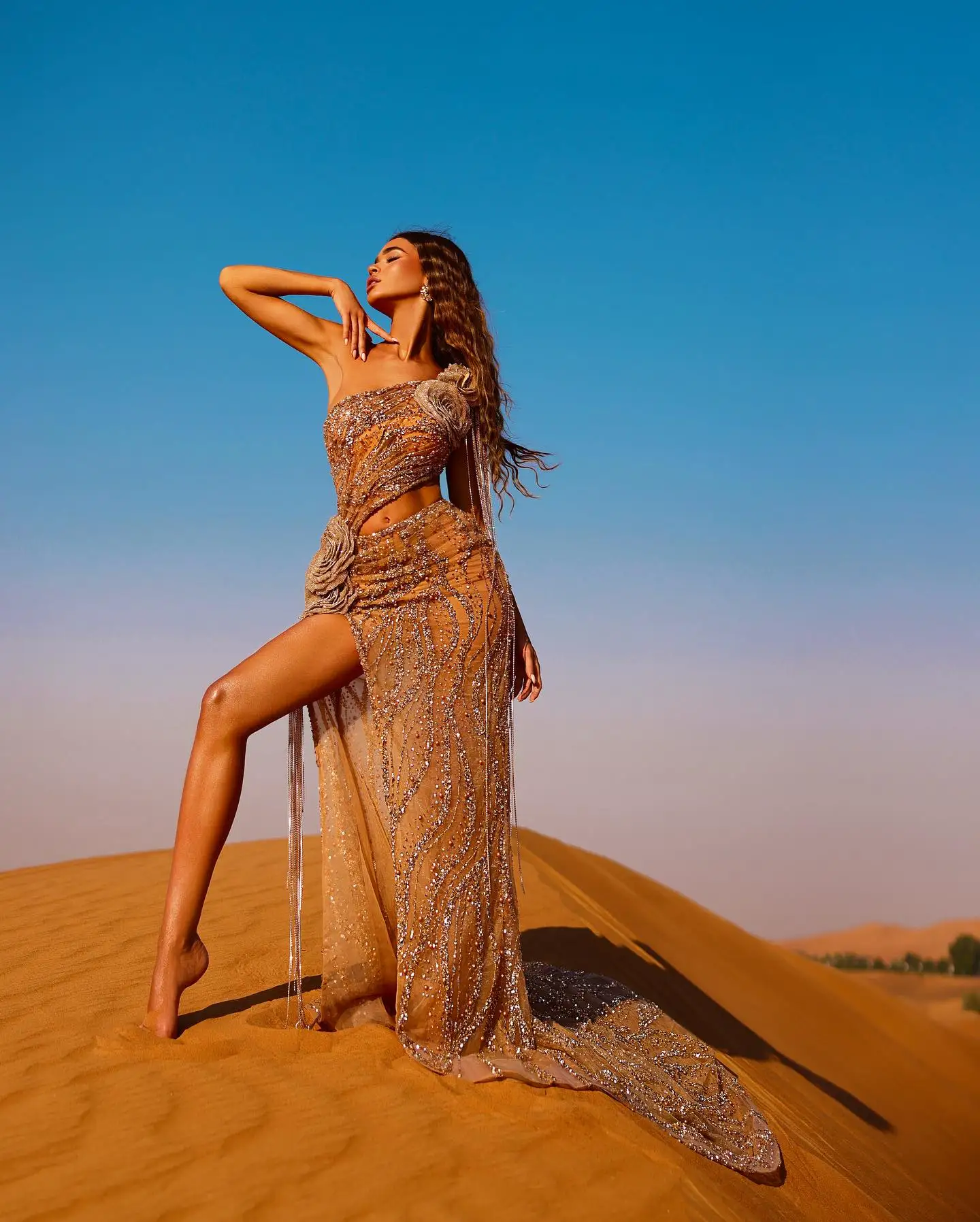Women's Apricot Bandage Dress One Shoulder Sequin Beaded 3D Floral Appliques High Slit Fitted Floor-Length Evening Gown