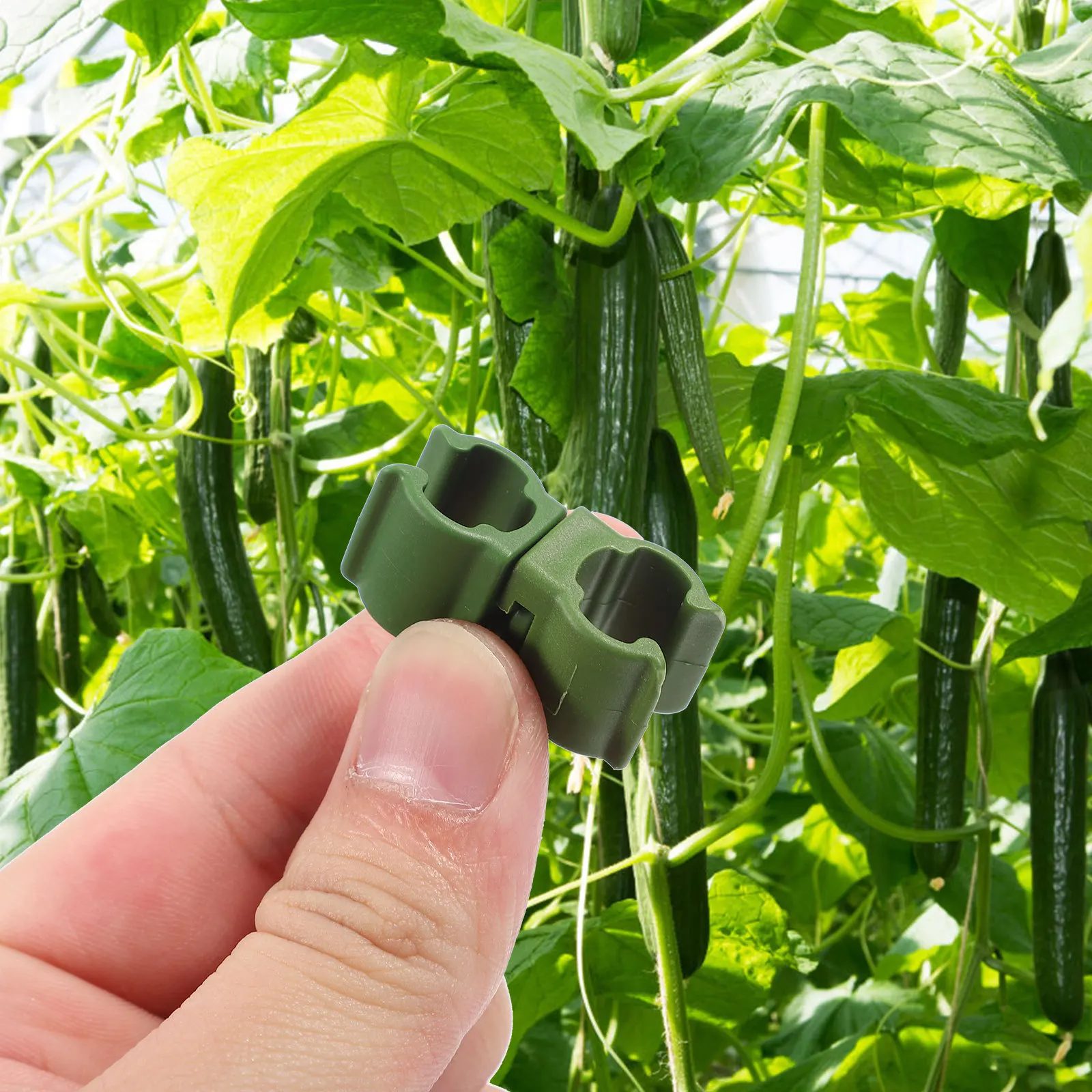 

10Pcs Rotating Plant Clips Green Plastic Garden Clamps Plant Stems Supports Supports Garden Supplies