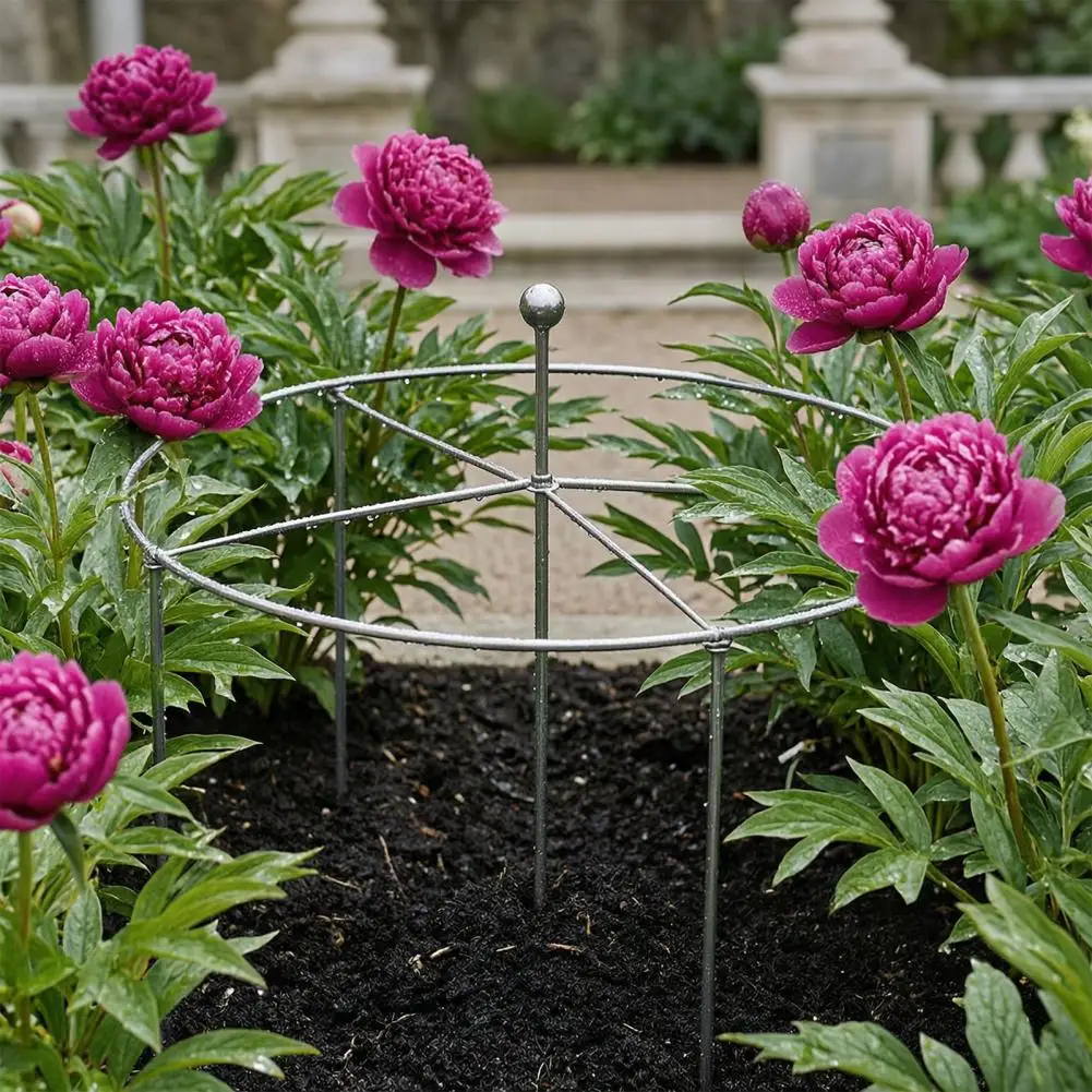 Peony Stem Stabilizer Garden Plant Cage Heavy-duty Peony Cage Plant Support Four-legged Metal Ring for Roses Tomatoes Cucumbers