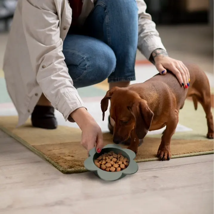 

Gray Flower Shaped Silicone Pet Bowl, with Non-Slip Suction Base, Durable Feeding Dish for Dogs & Cats