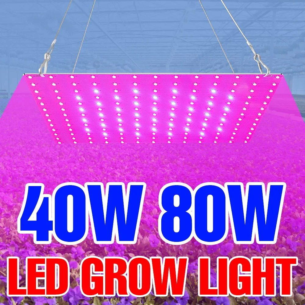 

80W LED Full Spectrum Grow Light Quantum Board Hydroponics Lamp US/EU Plug For Indoor Fruit Greenhouse Tent Cactus Succulent 40W