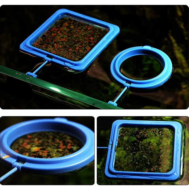 F92B Fish Feeding Ring Round Floating Feeder Circle per Betta Facile da installare
