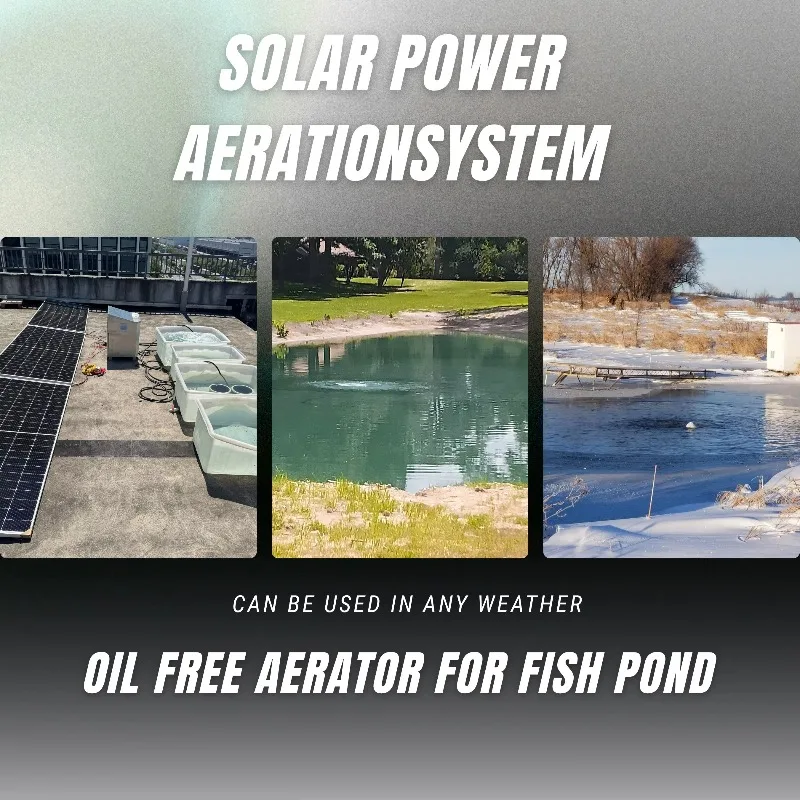 Solar Powered Pond Aerator 35 LPM Portable DC Pump for 0.5 Acres up to 6m Depth Fish Ponds