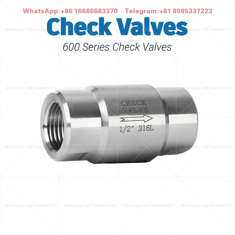 304 316 Stainless Steel Female Thread Check Valve BSPP One Way Valve 1/8