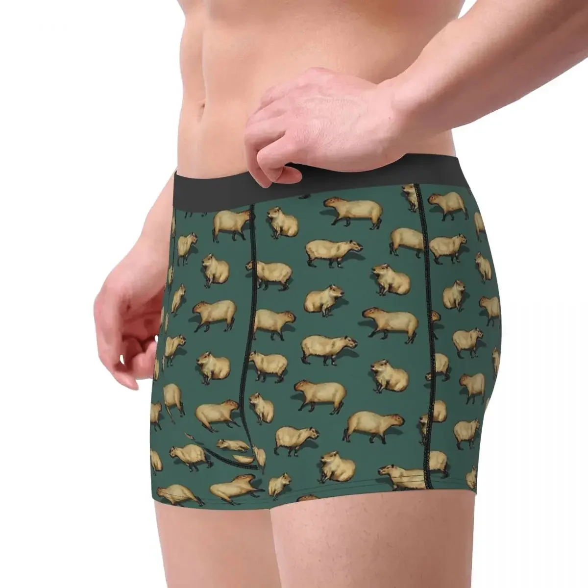 Capybara Hydrochoerus Hydrochaeris Animal Cute Giant Rodents On Dark Teal Underpants Panties Man Underwear  Shorts Boxer Briefs