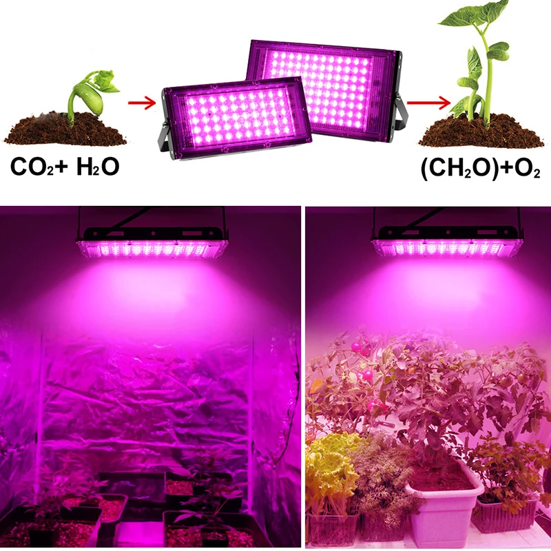 Full Spectrum LED Grow Light Phyto Lamp AC 220V 50W 100W 200W 300W With EU Plug For Greenhouse Hydroponic Plant Growth Lighting