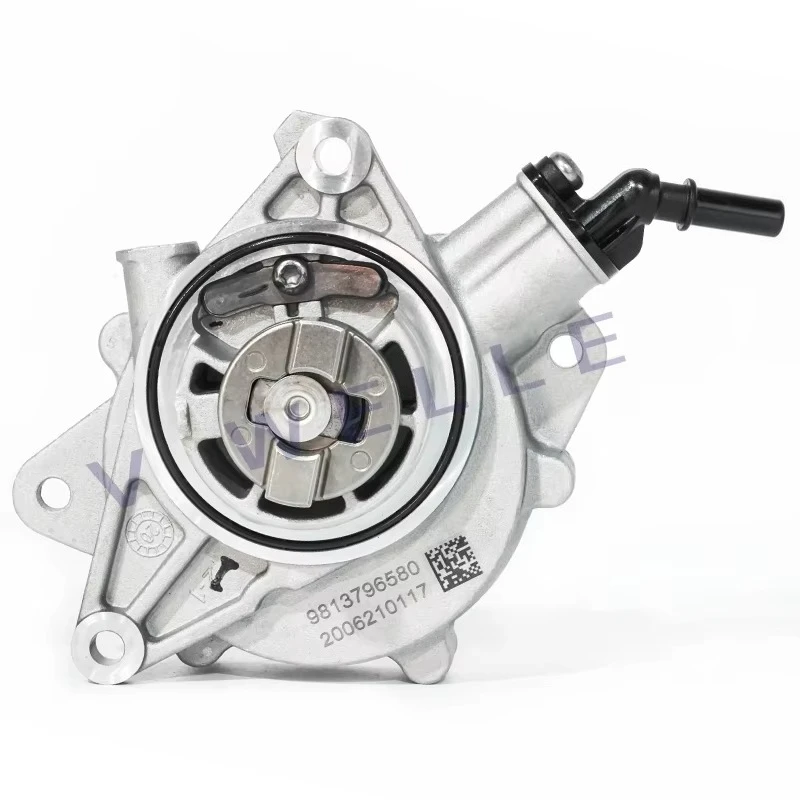 9813796580 98209827…