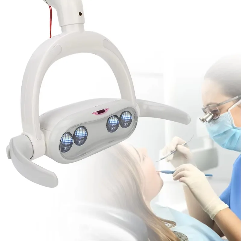 An Adjustable Dental LED Cold Light Dental Chair Operates An Oral (22 Mm) Dental Sensor Light