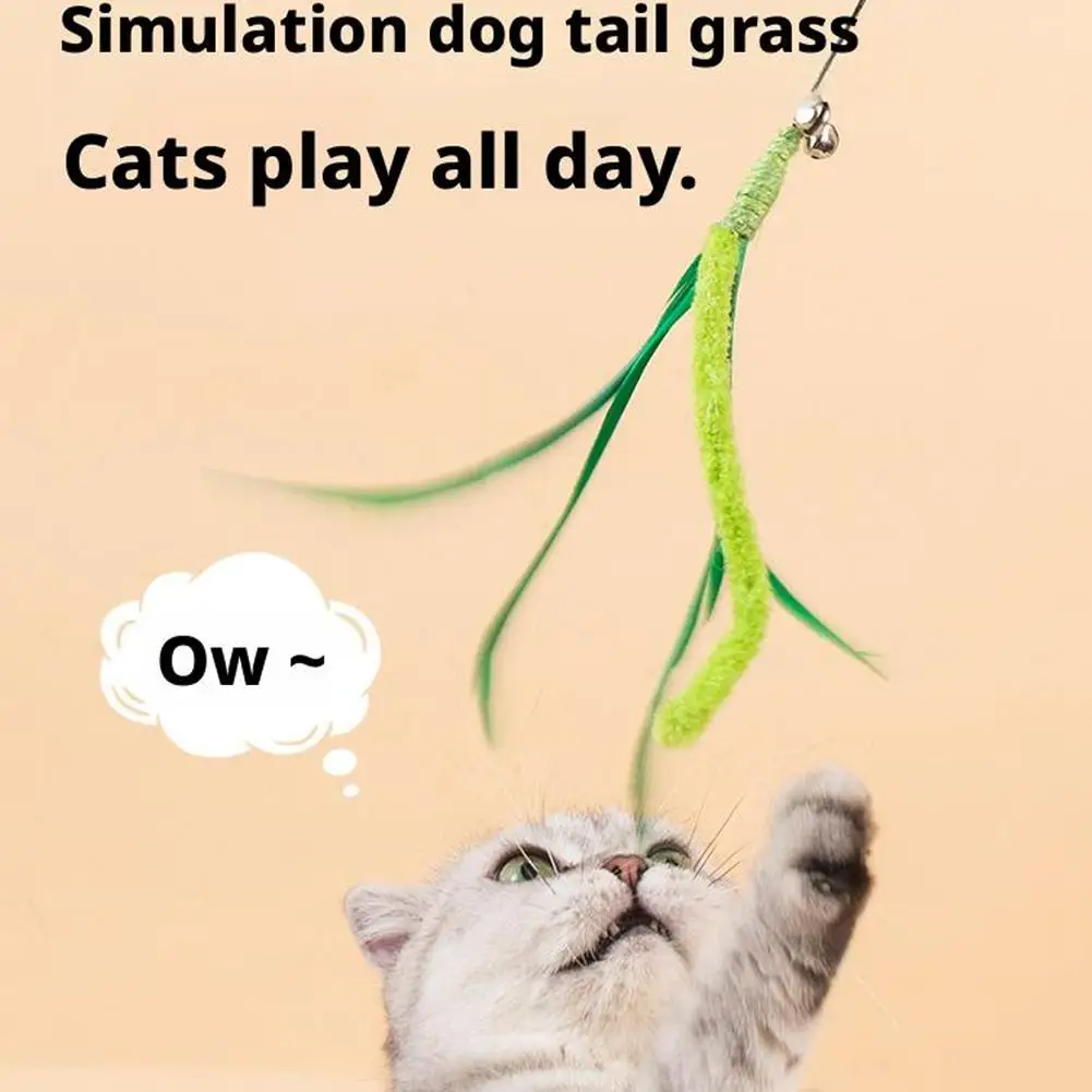القط إغاظة لعبة التفاعلية الذيل العشب الكلب حكيم ريشة القطب الطويل القط إغاظة عصا لدغة مقاومة القط لعبة صوت مستلزمات الحيوانات الأليفة