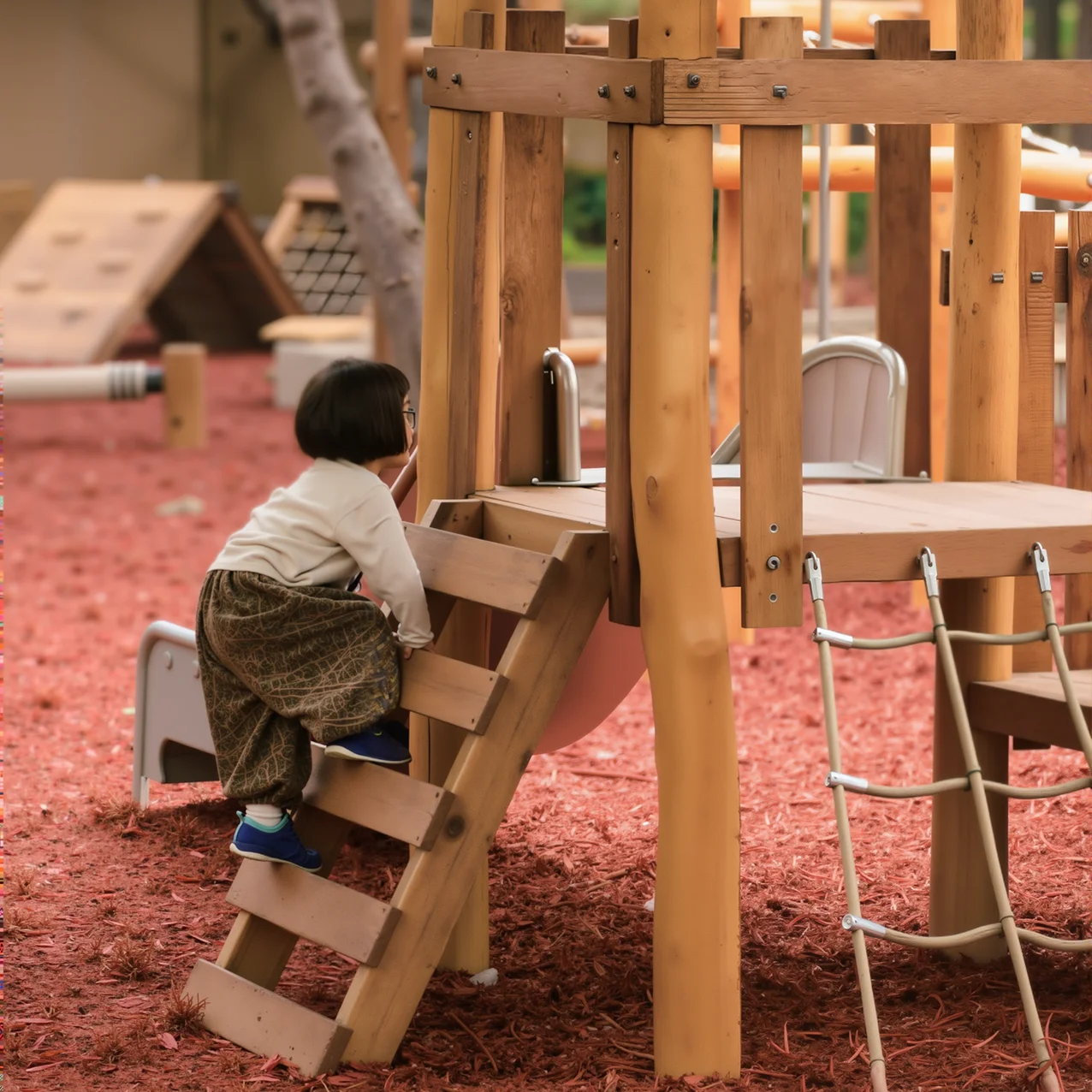 Outdoor Wooden Playground Equi - Kids Outdoor Hut ulasan dan harga
