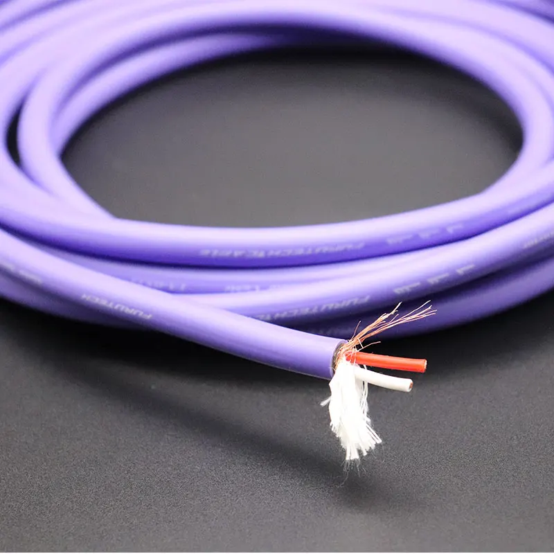 New Flagship Furute… - image