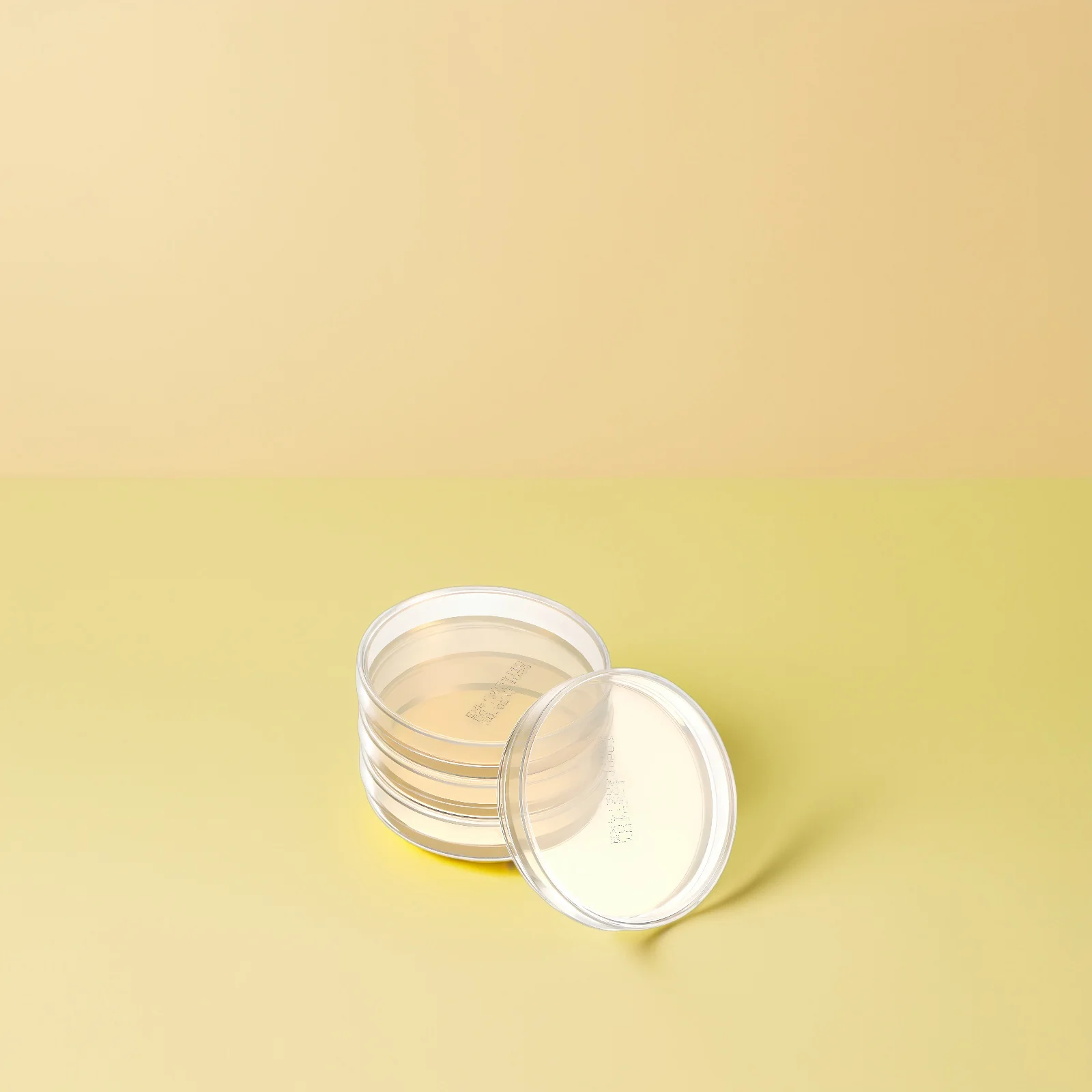 10pcs Nutrient Agar Plates 7cm Pre-poured Petri Dishes Science Experiment STEM agar plates petri dish tissue