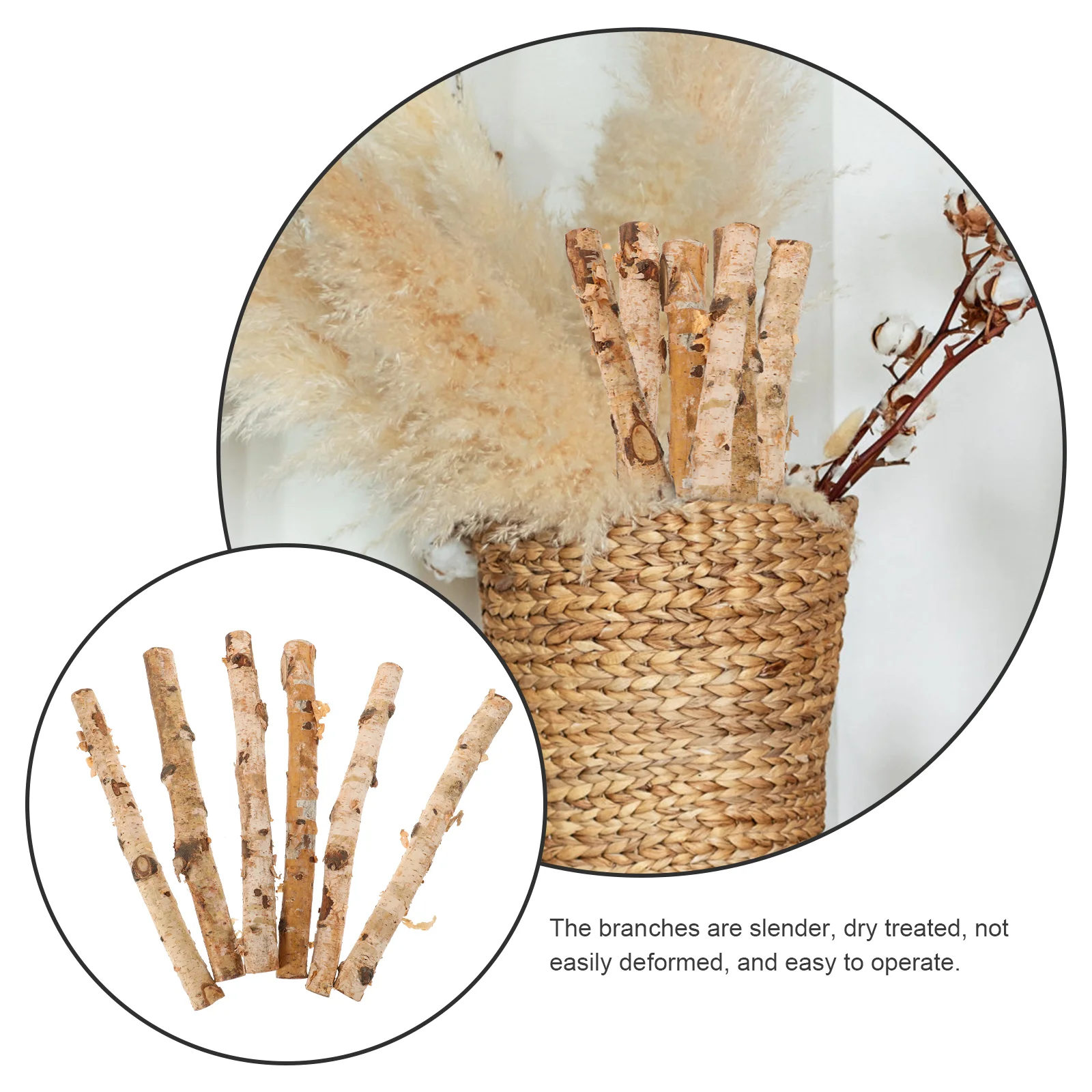 Twigs Sticks for Crafts Birch Wood Accessory Natural Projects Crafting Filler Log