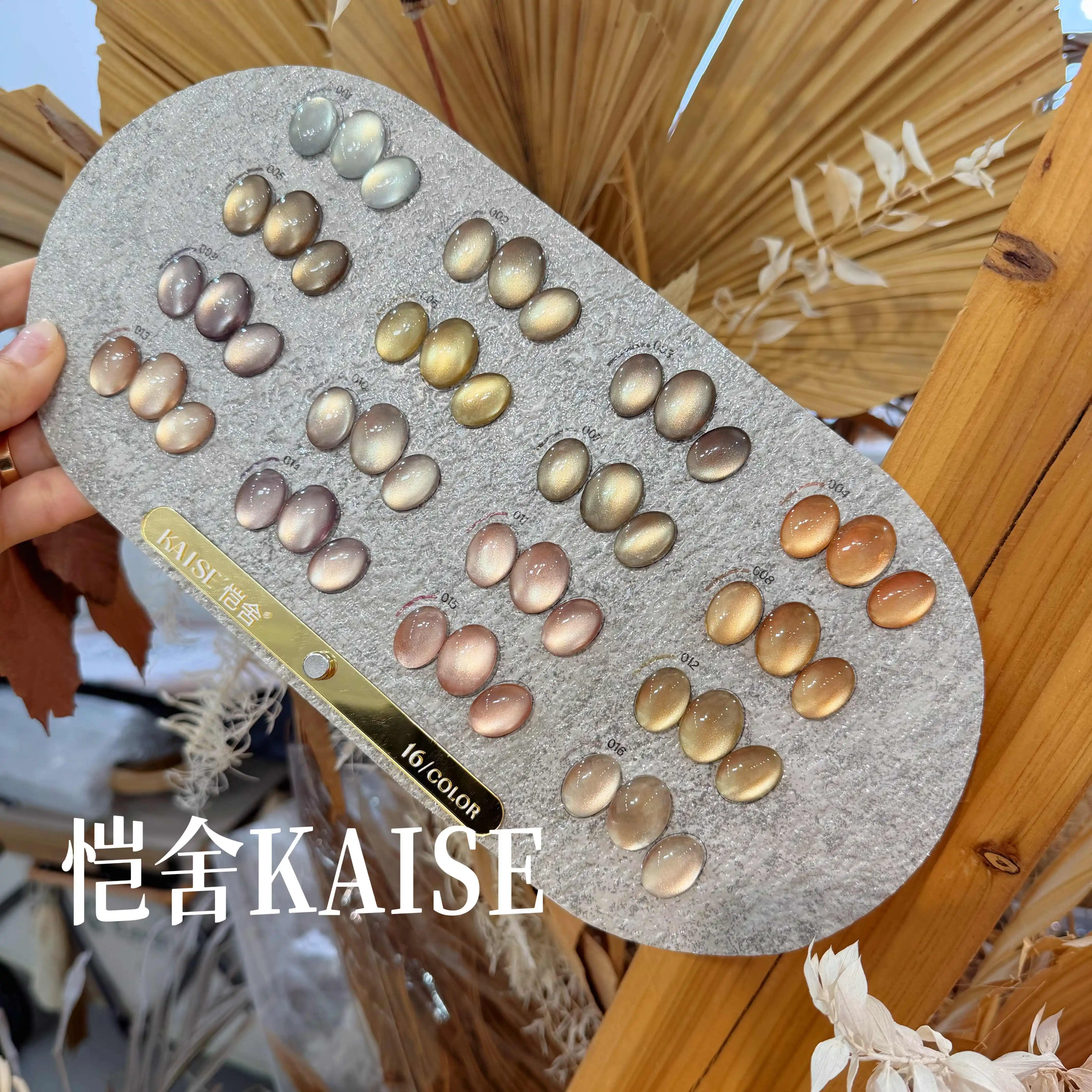 KAISE 16 Colors Moonlight Cat Eye Nail Gel Set 2025 New Hot Sale Fashion HEMA-Free TPO-Free Non-toxic UV Gel for Salon Wholesale - view 4