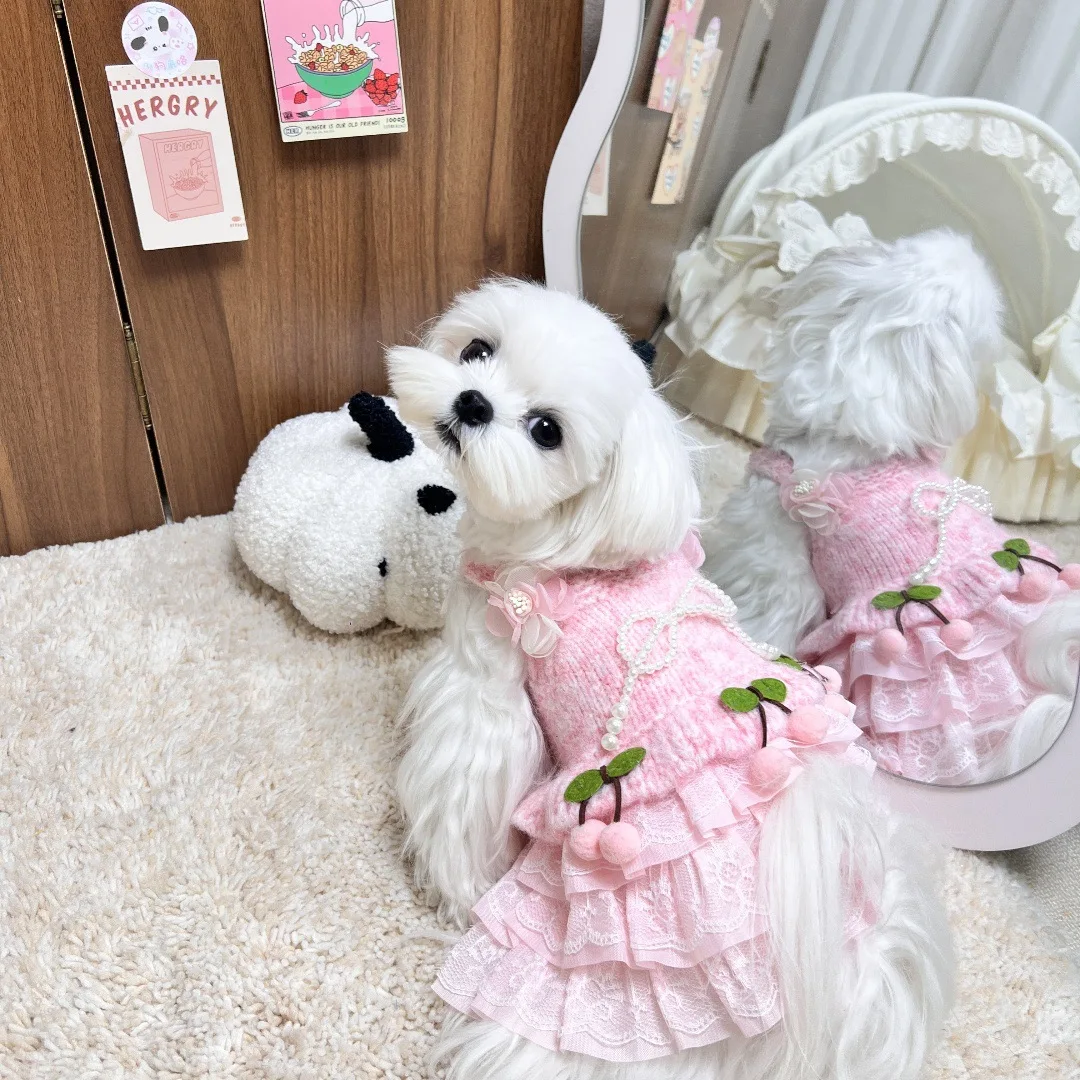 2025 New Puppy Sweater Skirts Clothing Fashion Korean Pink Green Blue Knit Lace Dress For Small Medium Dog Pet Clothes Chihuahua