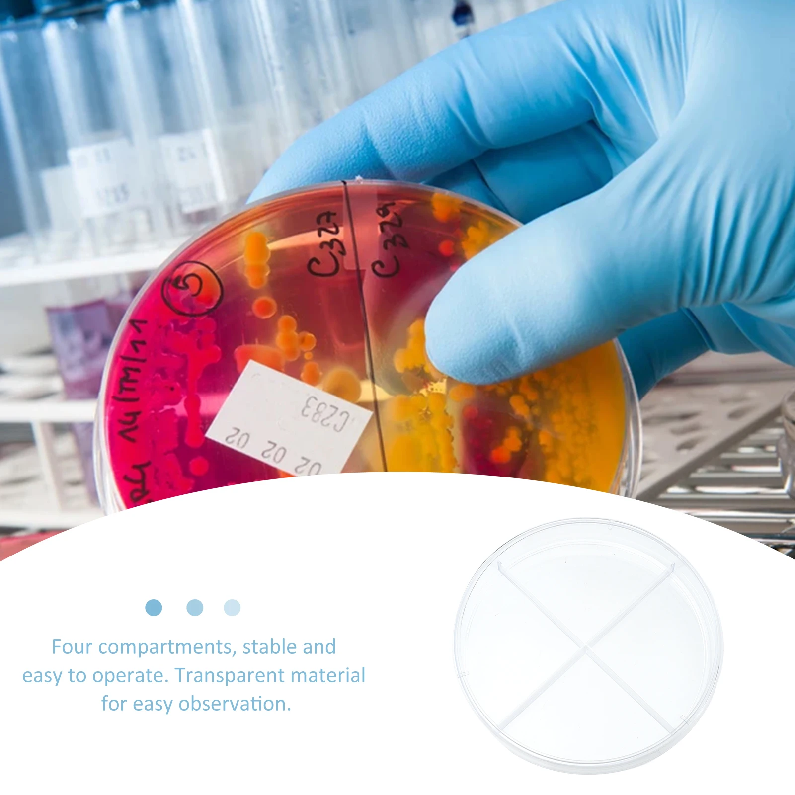 

10pcs Cell Culture Dish Clear Agar Plates Four Compartments Portable Plastic Biology Research Petri Dish Teaching Aid